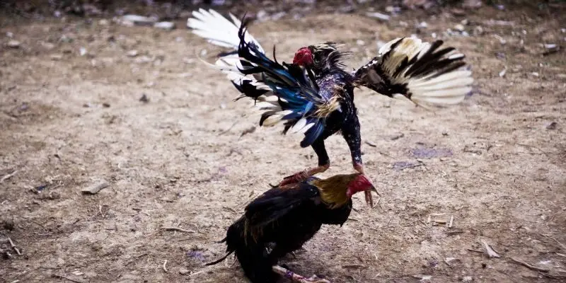 Bạn sẽ được nhận khoản thưởng khổng lồ